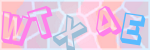 Recopiez le texte
