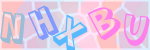 Recopiez le texte