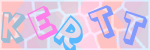Recopiez le texte