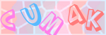 Recopiez le texte