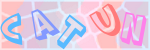 Recopiez le texte