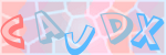 Recopiez le texte