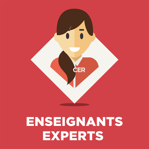 Enseignants experts