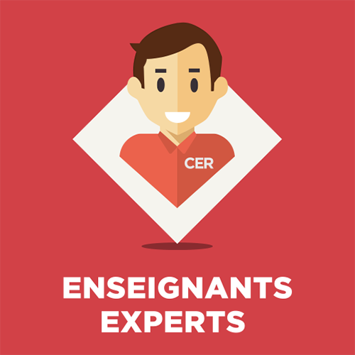 Enseignants de conduite experts