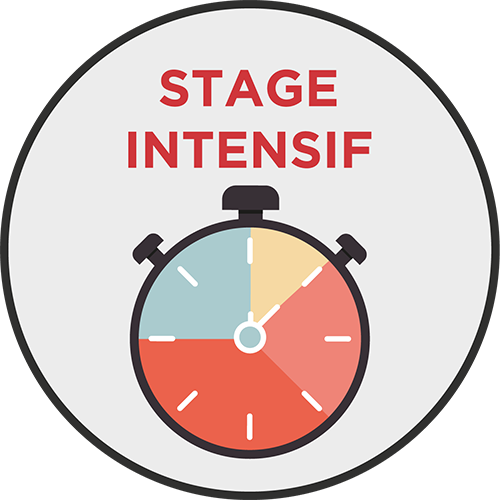 <strong>STAGE INTENSIF CODE 3 JOURS</strong>