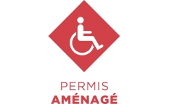 Permis Auto Véhicule aménagé